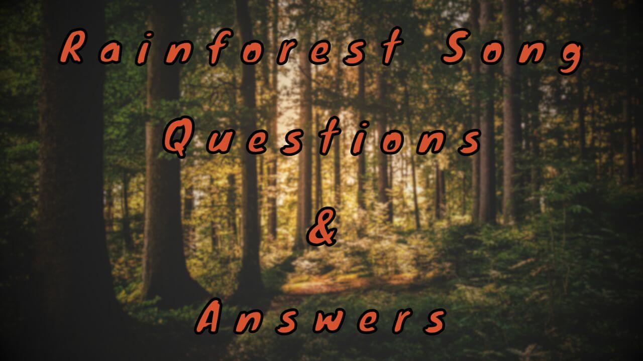 Rainforest Song Questions & Answers