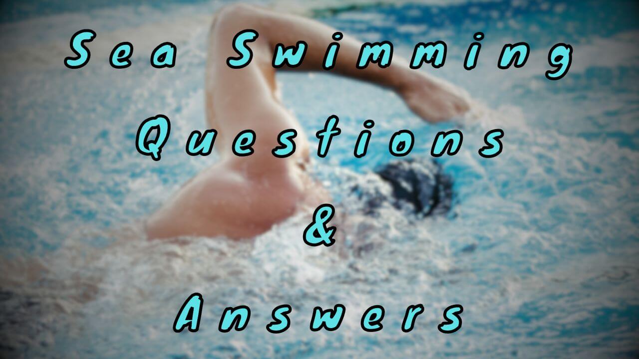 Sea Swimming Questions & Answers