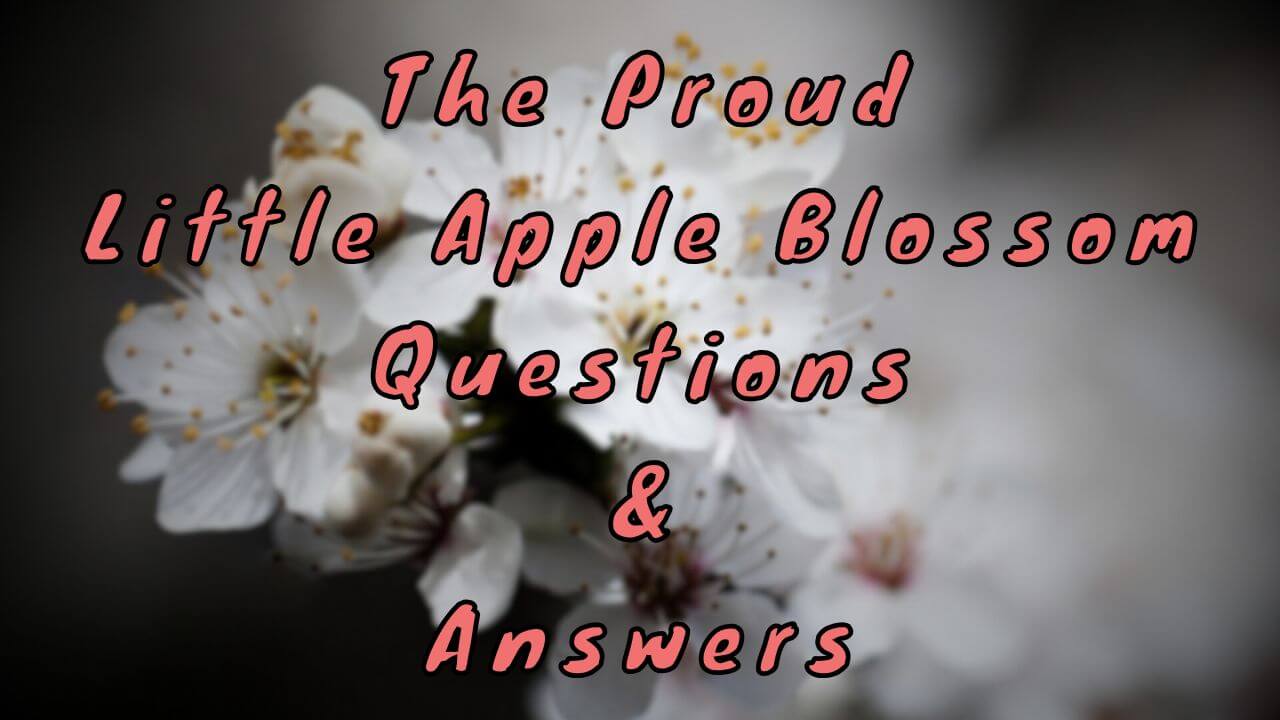 The Proud Little Apple Blossom Questions & Answers