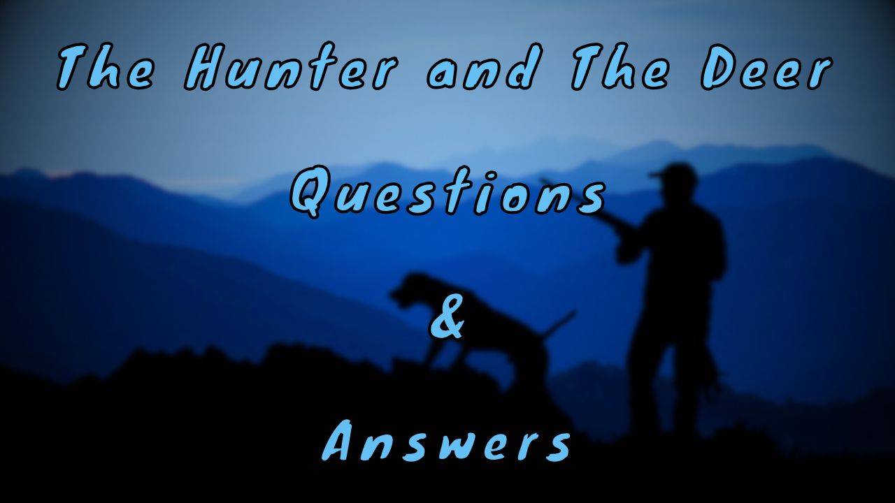 The Hunter and The Deer Questions & Answers