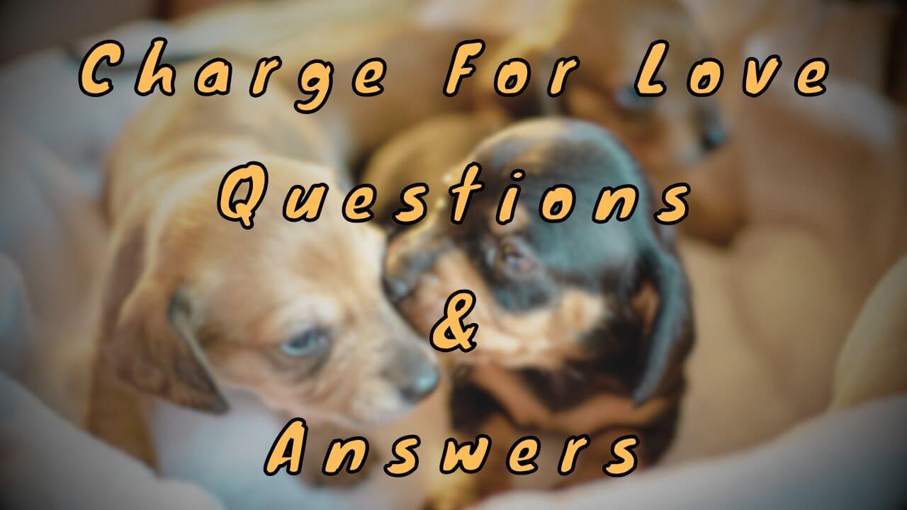 Charge For Love Questions & Answers