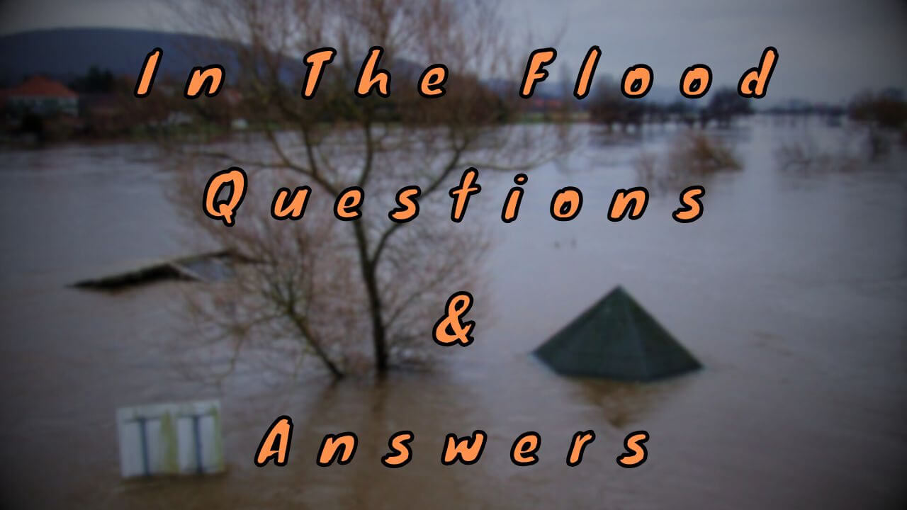 In The Flood Questions & Answers