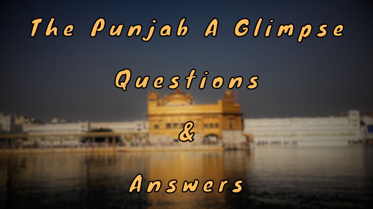 The Punjab A Glimpse Questions & Answers