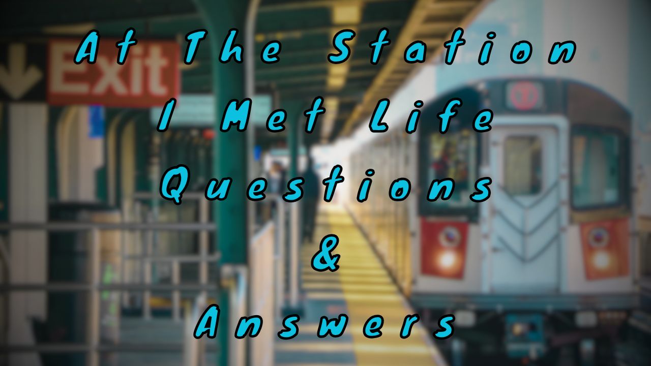 At The Station I Met Life Questions & Answers