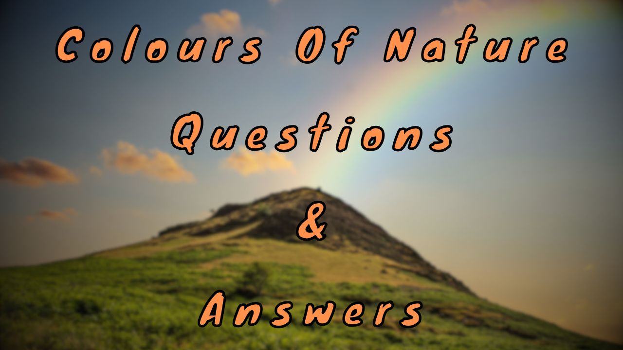 Colours Of Nature Questions & Answers