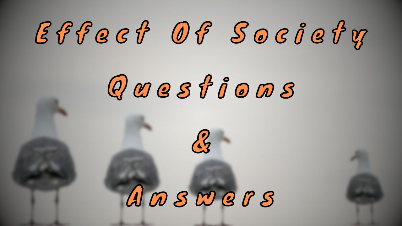 Effect Of Society Questions & Answers