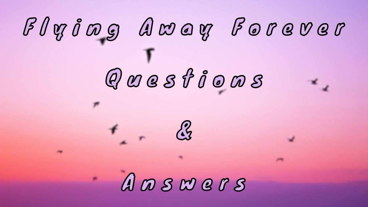 Flying Away Forever Questions & Answers