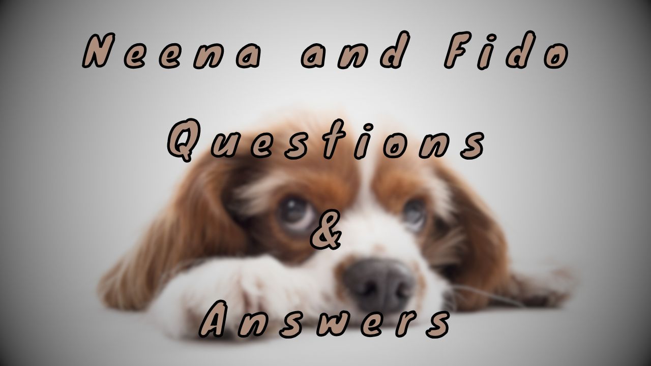 Neena and Fido Questions & Answers