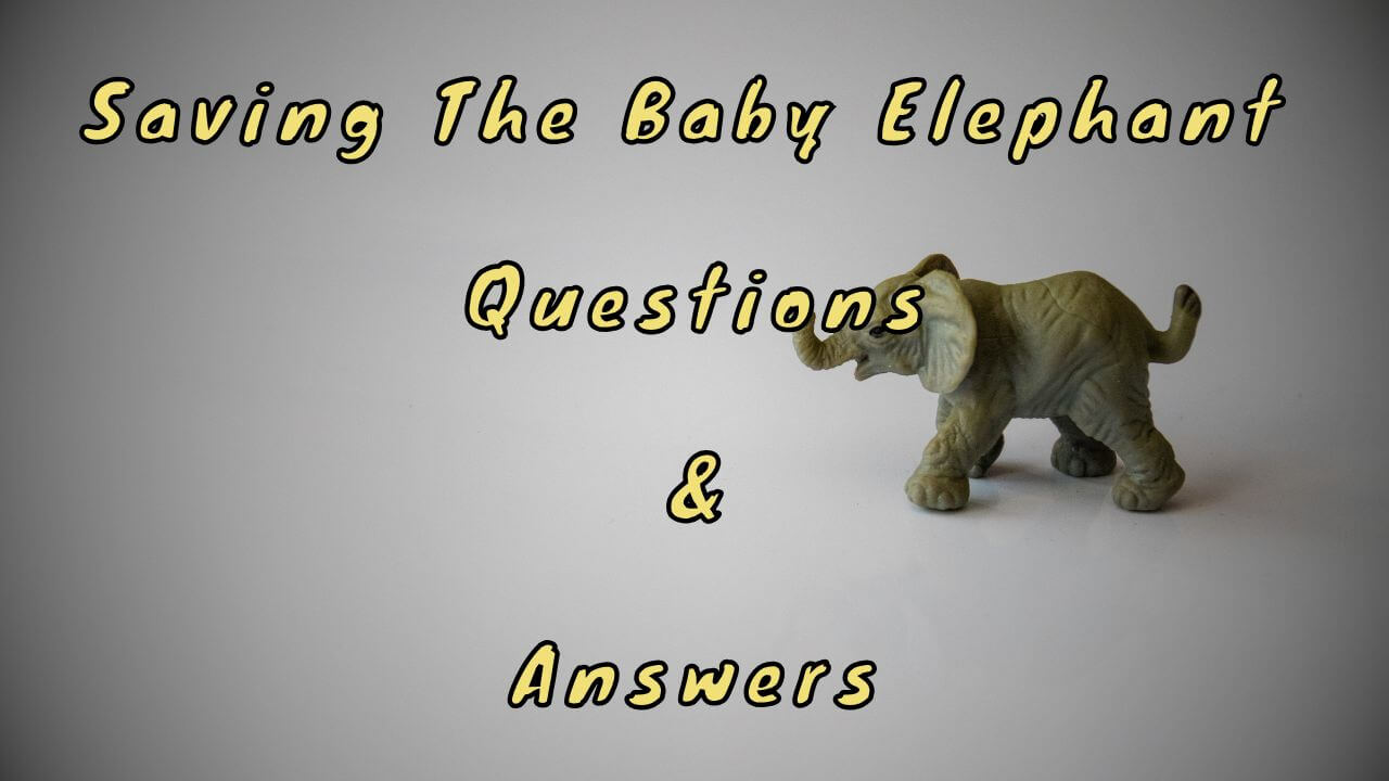 Saving The Baby Elephant Questions & Answers