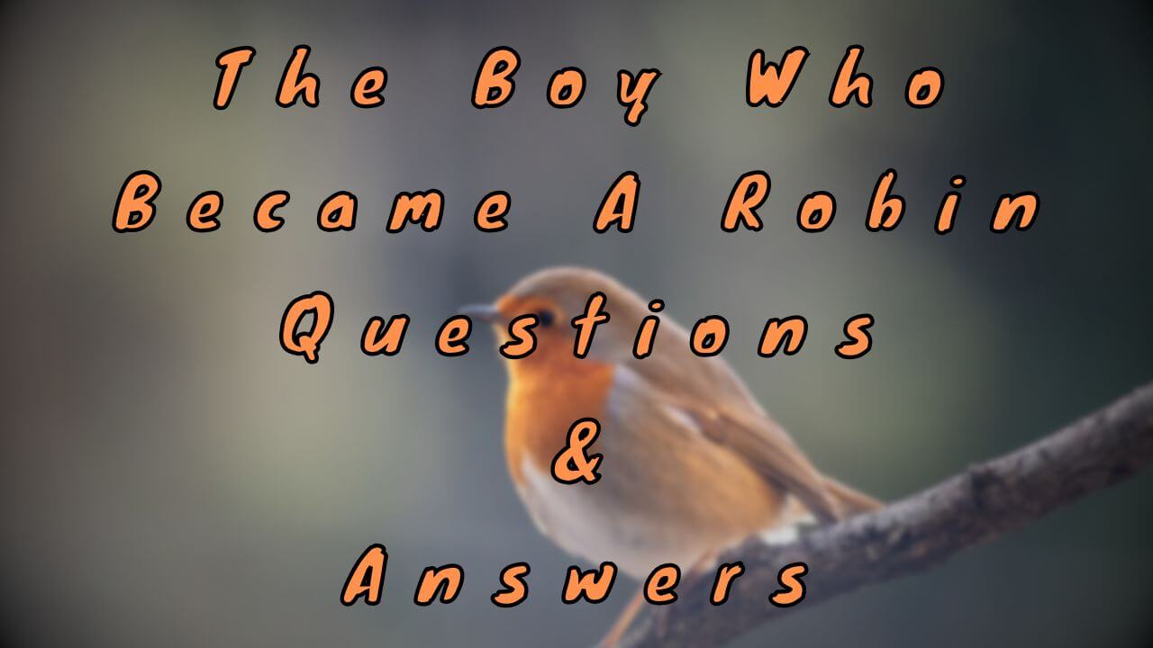 The Boy Who Became A Robin Questions & Answers