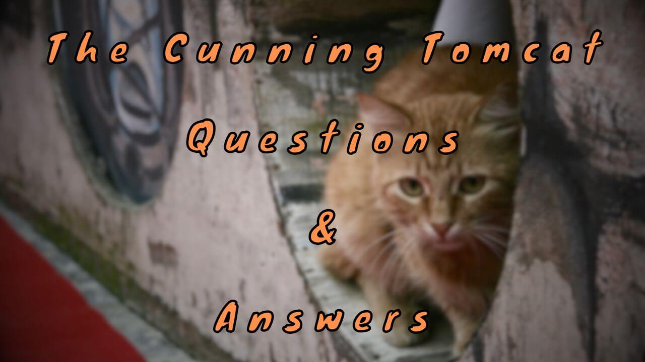 The Cunning Tomcat Questions & Answers