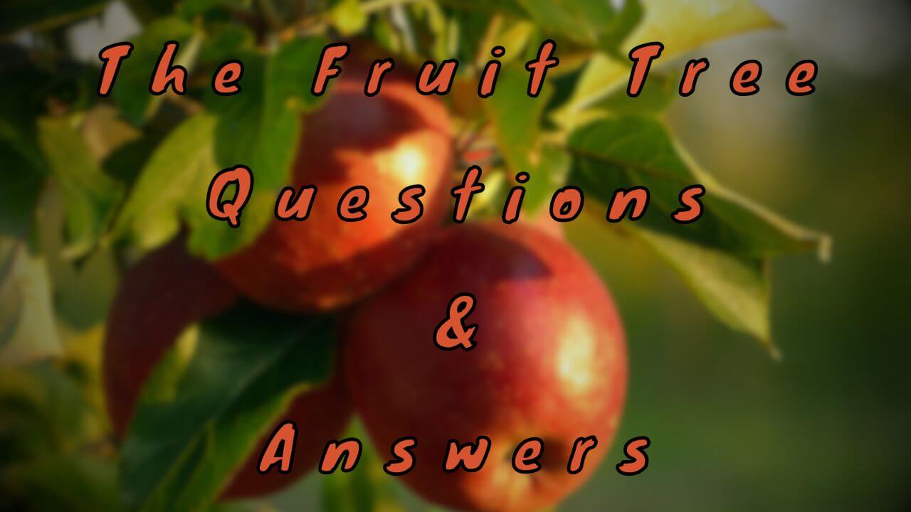 The Fruit Tree Questions & Answers