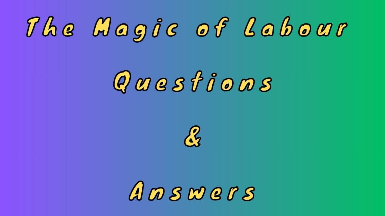 The Magic of Labour Questions & Answers