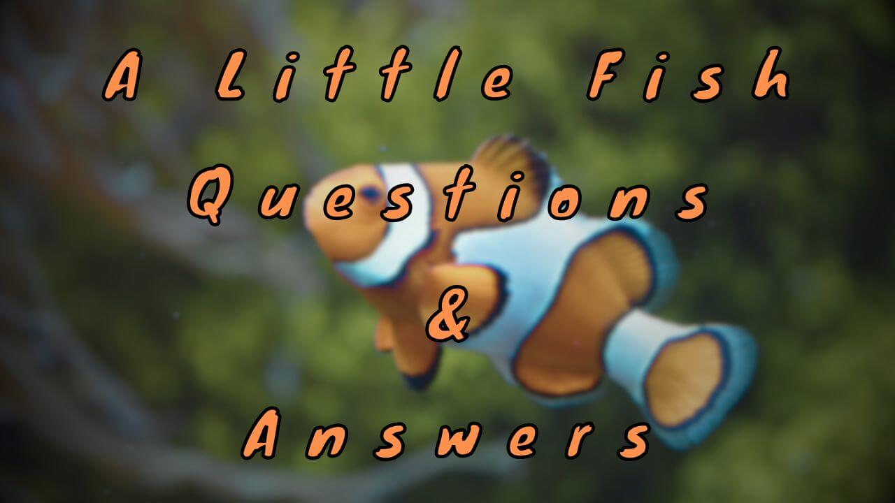 A Little Fish Questions & Answers