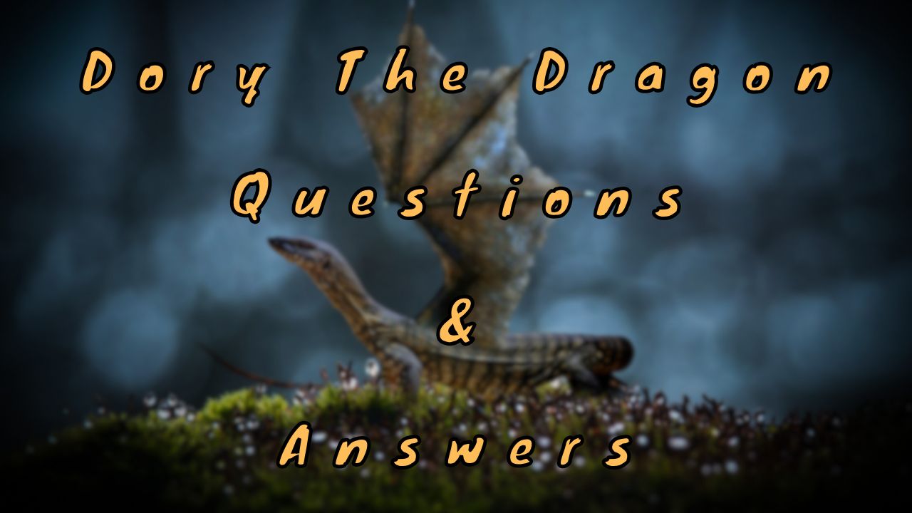 Dory The Dragon Questions & Answers