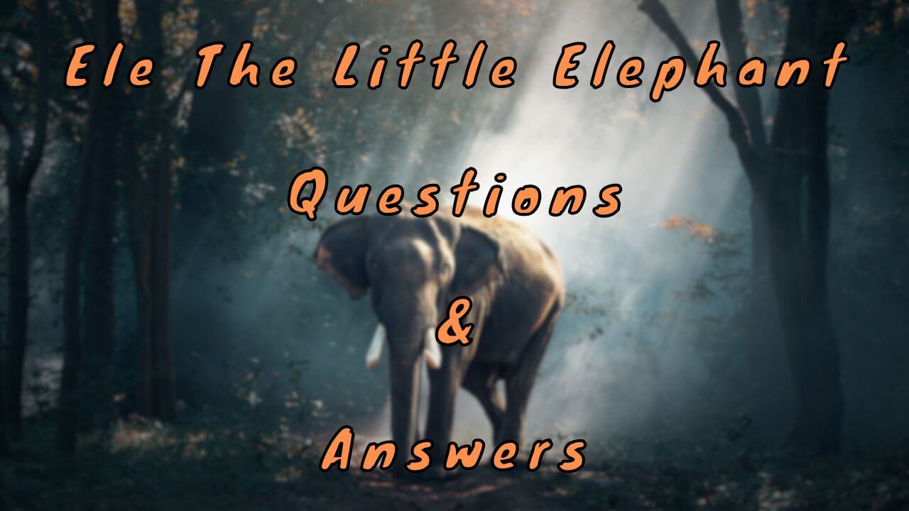 Ele The Little Elephant Questions & Answers