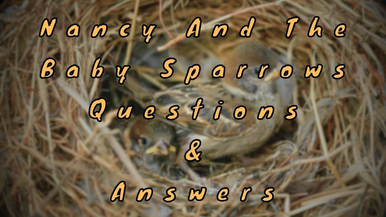 Nancy And The Baby Sparrows Questions & Answers