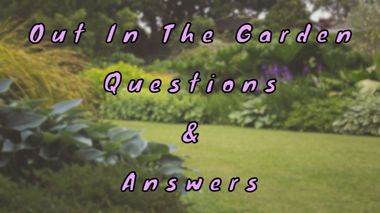 Out In The Garden Questions & Answers