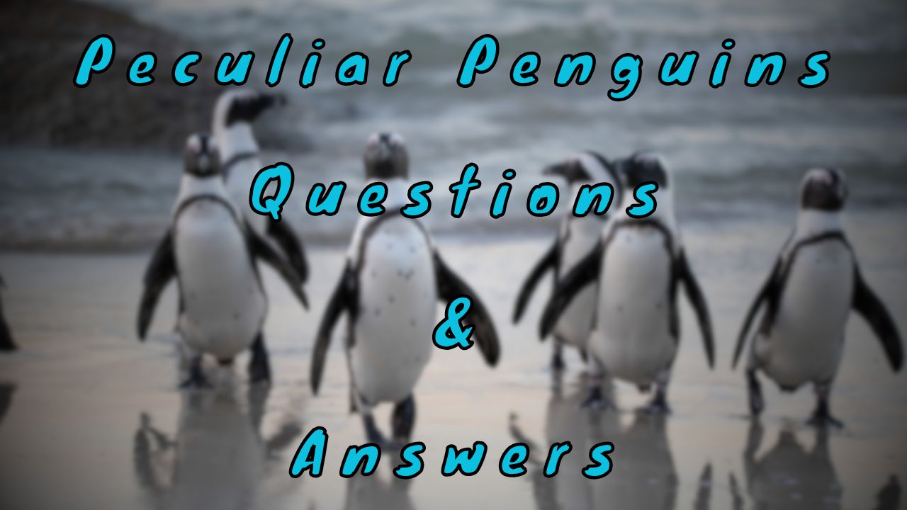 Peculiar Penguins Questions & Answers