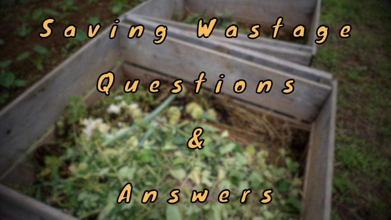 Saving Wastage Questions & Answers