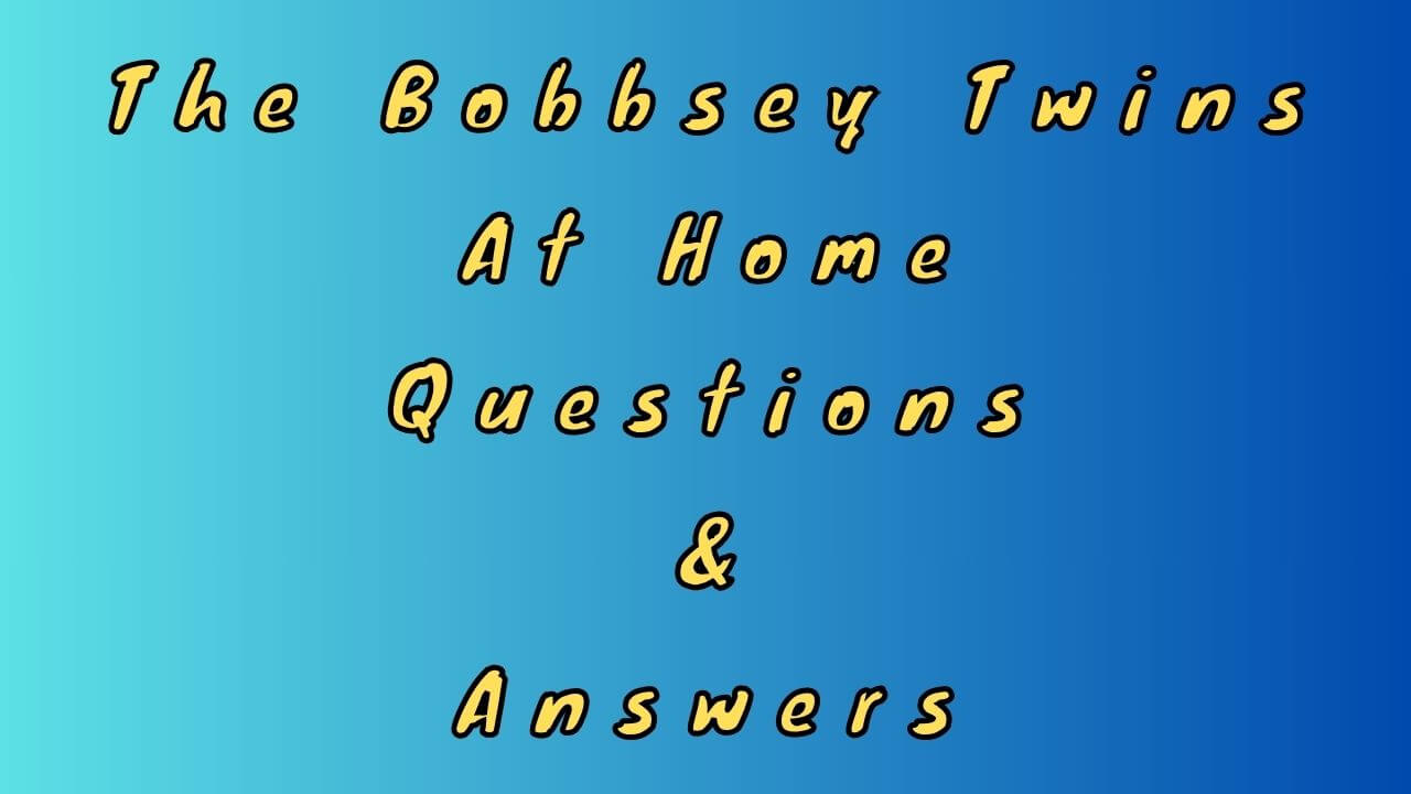 The Bobbsey Twins At Home Questions & Answers