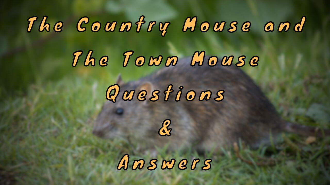 The Country Mouse and The Town Mouse Questions & Answers