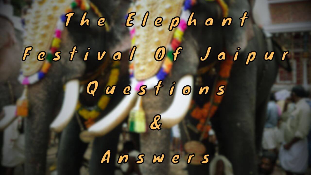 The Elephant Festival Of Jaipur Questions & Answers