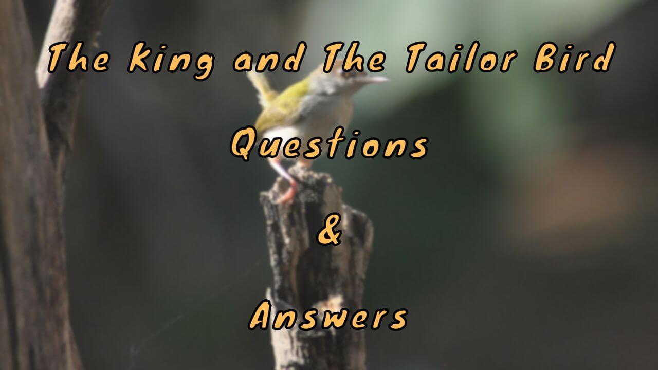 The King and The Tailor Bird Questions & Answers