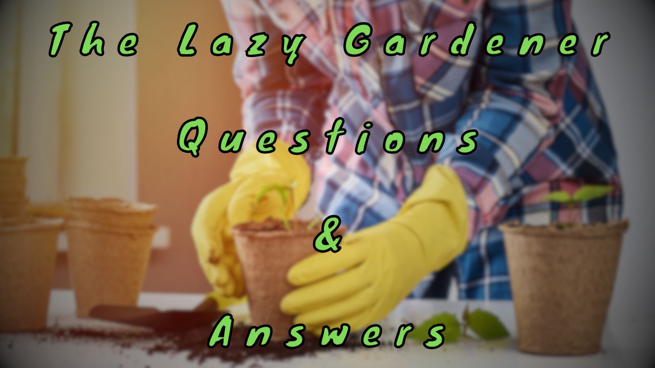 The Lazy Gardener Questions & Answers