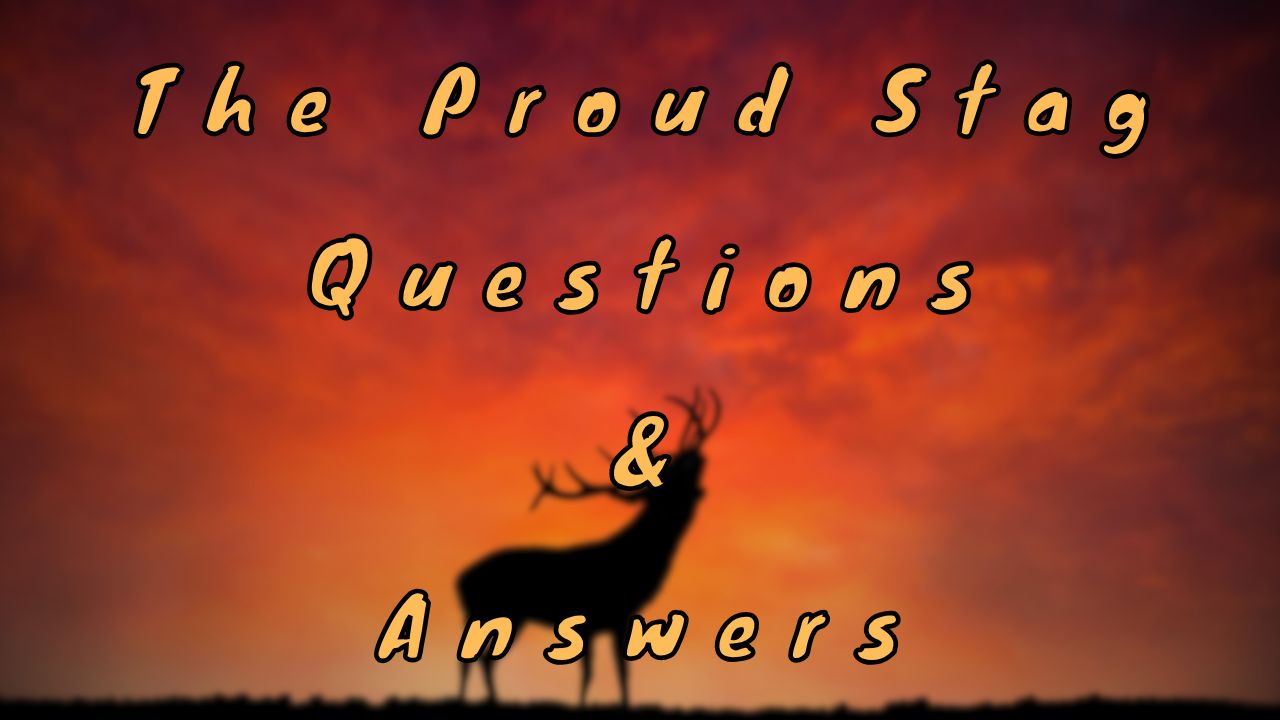 The Proud Stag Questions & Answers