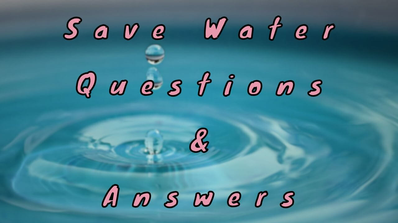 Save Water Questions & Answers