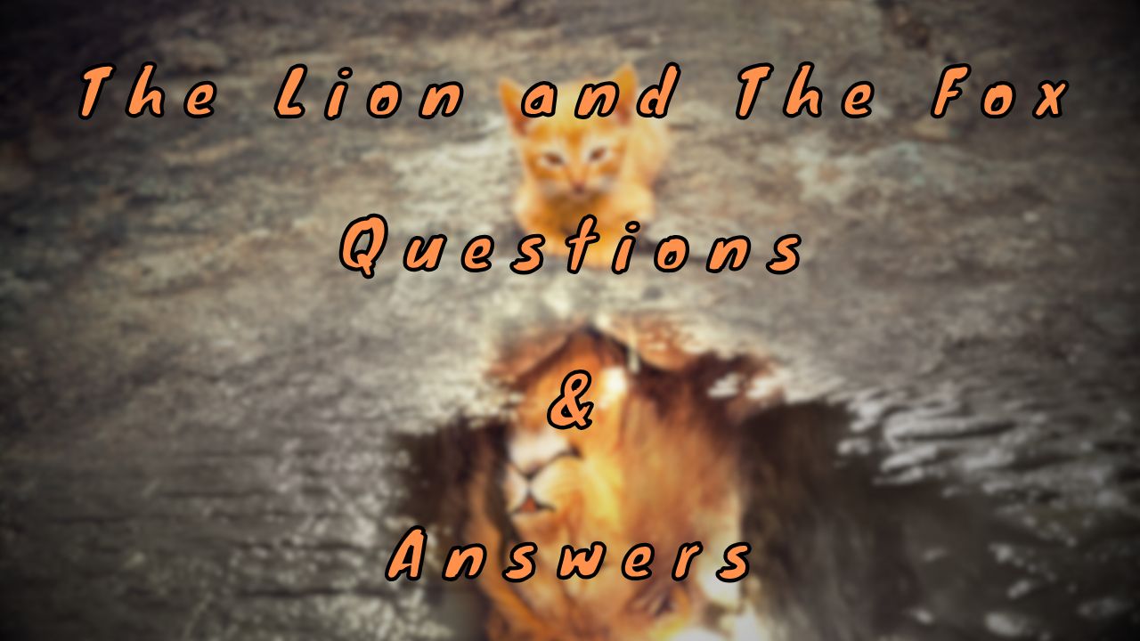 The Lion and The Fox Questions & Answers